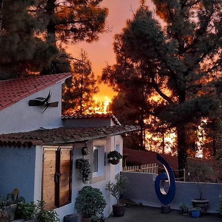 Casa Aguar: Acogedora Casa De Invitados En El Bosque Barrial Екстериор снимка