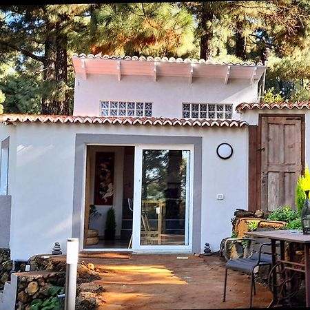 Casa Aguar: Acogedora Casa De Invitados En El Bosque Barrial Екстериор снимка