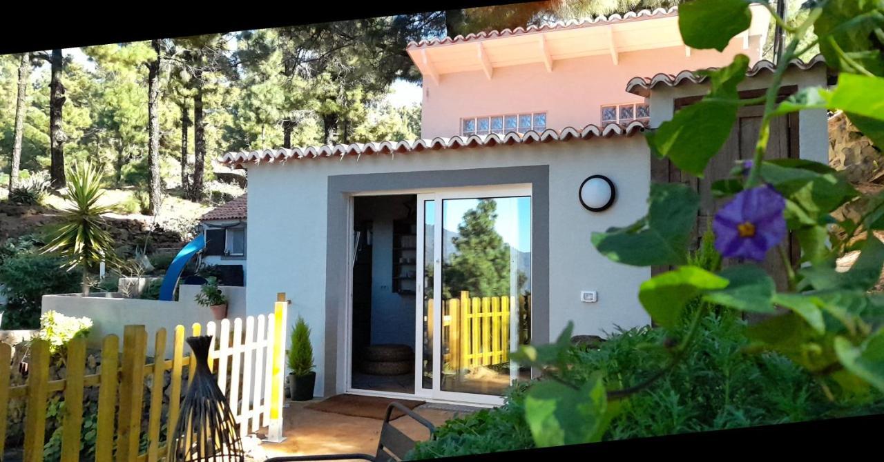 Casa Aguar: Acogedora Casa De Invitados En El Bosque Barrial Екстериор снимка