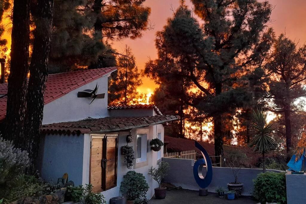Casa Aguar: Acogedora Casa De Invitados En El Bosque Barrial Екстериор снимка