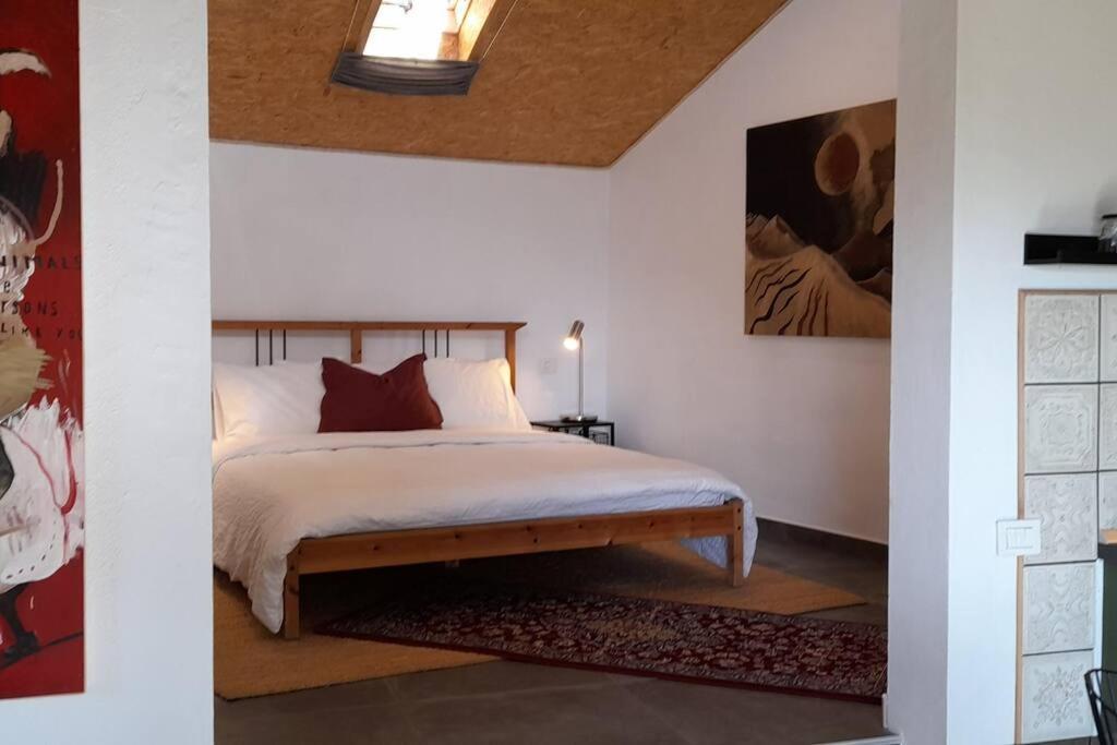 Casa Aguar: Acogedora Casa De Invitados En El Bosque Barrial Екстериор снимка