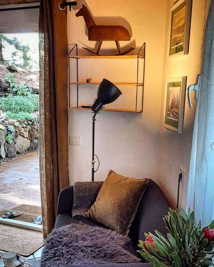 Casa Aguar: Acogedora Casa De Invitados En El Bosque Barrial Екстериор снимка
