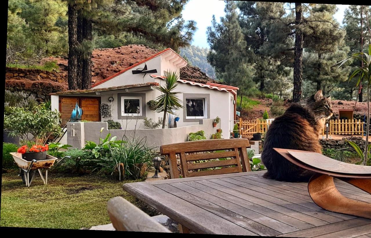 Casa Aguar: Acogedora Casa De Invitados En El Bosque Barrial Екстериор снимка