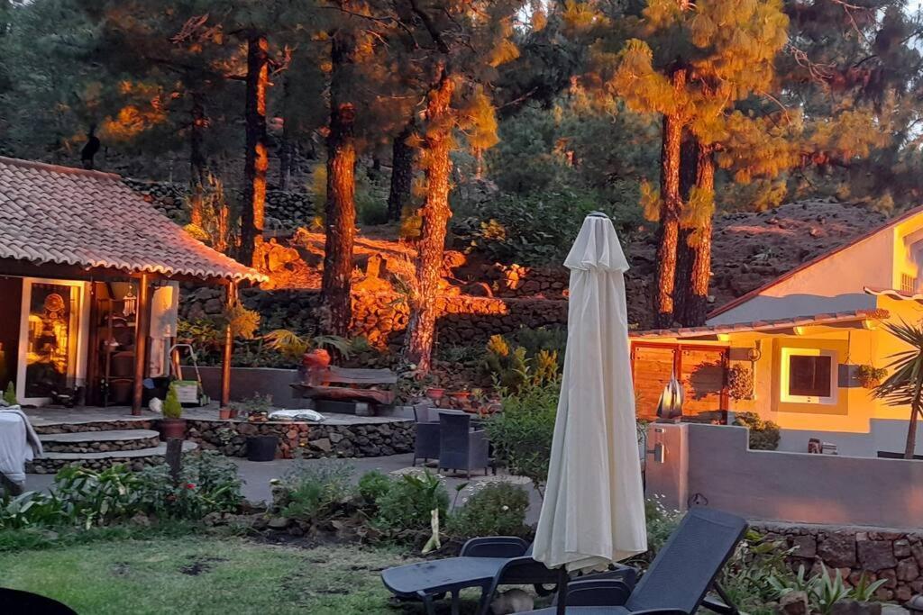 Casa Aguar: Acogedora Casa De Invitados En El Bosque Barrial Екстериор снимка